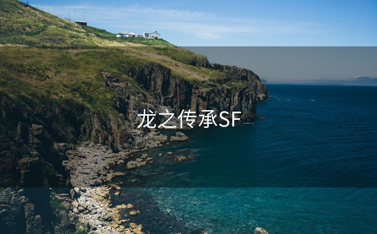 龙之传承SF