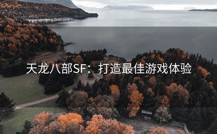 天龙八部SF：打造最佳游戏体验