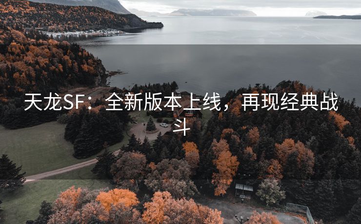 天龙SF：全新版本上线，再现经典战斗